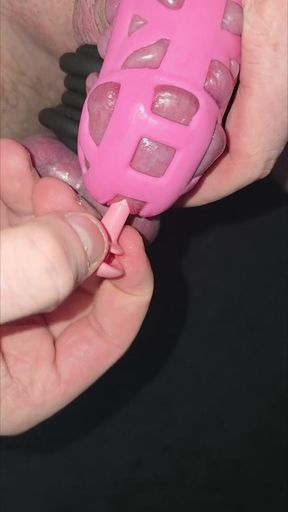 Accidentaly inserting my penis plug all the way into my cock while wearing a pink cock cage and many cock rings around my balls.