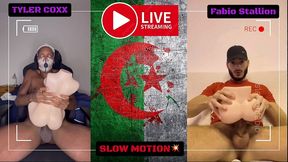 playing with tantaly dolls - tyler coxx vs fabio stallion