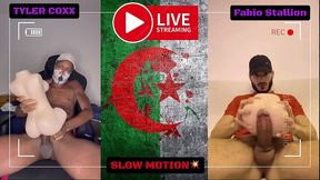 playing with tantaly dolls - tyler coxx vs fabio stallion
