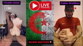 playing with tantaly dolls - tyler coxx vs fabio stallion