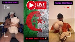 playing with tantaly dolls - tyler coxx vs fabio stallion