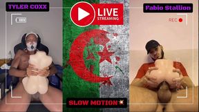 playing with tantaly dolls - tyler coxx vs fabio stallion