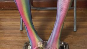 Cake Smash Rainbow Fishnets