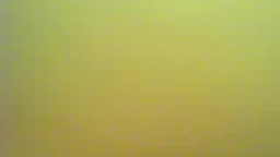 Mitch Private Show