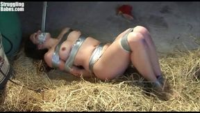 Taped up babe rolling down a haystack