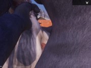 Wild Life / Furry Porn With Wolf Creampie