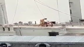 Public pussy pounding in Colombia