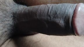 Desi stylis lund very big and long