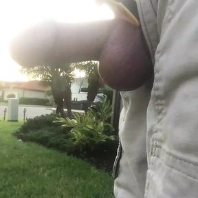 A Walk Outside With My Penis In A Cable Clamp