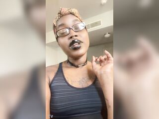 Verification clip