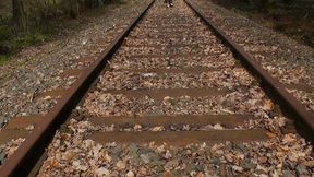 On the tracks (2018) (MP4)