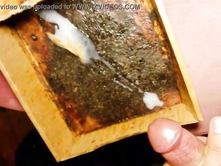 Worms inside ramrod - Cumming Mealworms - Spunk Flow