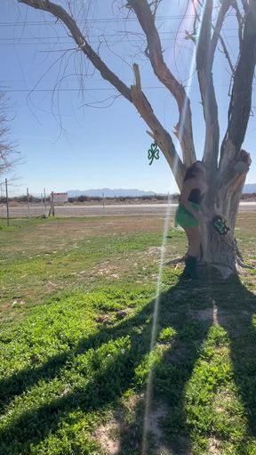 Lucky Leprechauns Sweet Lucky Charms