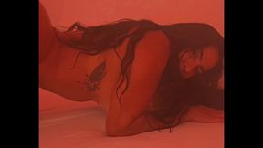 profile-intro-video-1708523872