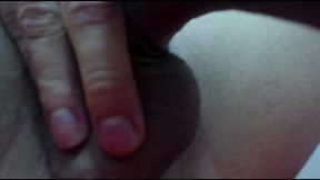 Tom Wiil Private Show