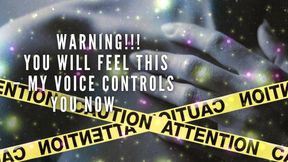 The Nlp Toolbox: Warning!!! You Will Feel This - My Voice Controls You Now