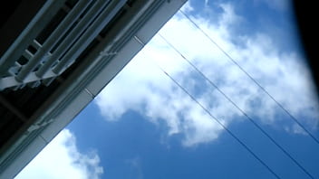 Upskirt panty negra