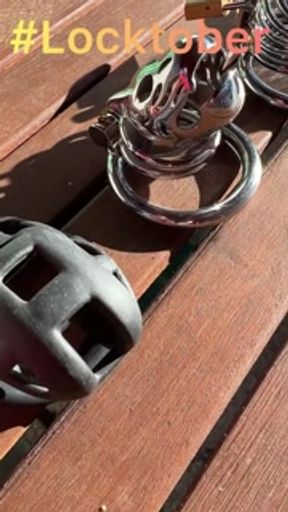 Locktober is here!! Which cage should we use???