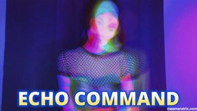 ECHO COMMAND