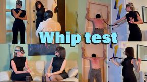 GEA DOMINA - WHIP TEST