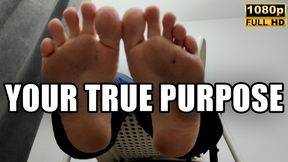 Feet, Your True Purpose - Full HD 1080p - KingMarti - MOV
