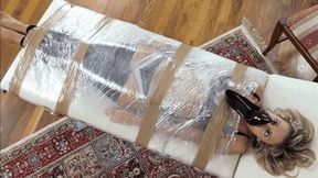 Una serva quasi perfetta - An almost perfect servant ( 2 PART )