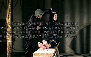Japanese and chinese clips