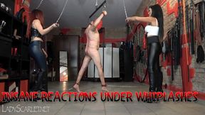 LADY SCARLET & MISTRESS ISIDE - INSANE REACTIONS UNDER WHIPLASHES mobile