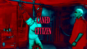 Caned Citizen: Ten, David Lawrence