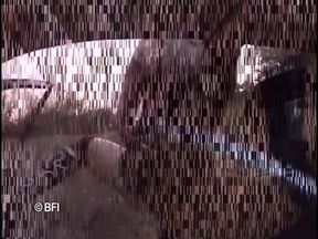 Pissing girls compilation