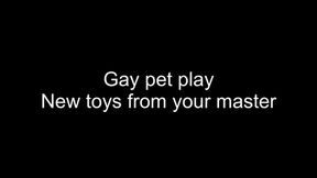 Puppy play - new toys from your master