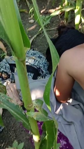The stepbrother made stepsister completely naked in the cornfield and made a doggy and rubbed the fat ass   Clip 1