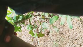 Indian Bhabhi Devar Homemade Sextape Mms Monik