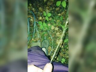 The Ultimate Solo Hunk Outdoor Pissing Compilation