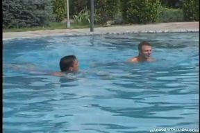 Pool Party