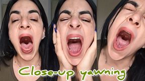 Close-up yawning!