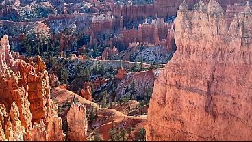 BRIAN HEAD XXX DH ROAD CYCLING MOVIE VIP AFTER PARTY