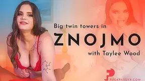 Big Fake twin Towers In Znojmo With Taylee Wood - FuckPassVR