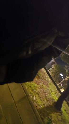 Walking my bundle around the neighborhood