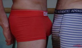 gay porn 593