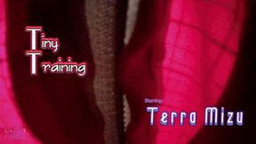 Tiny Training (WMV 1080P)
