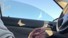 cruising park, touching my cock at the car parked on the street