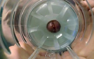Jade fucks her fleshlight... again