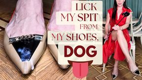 Lick Saliva from Mistress Ksana's shoes with your tongue like a dog