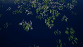 Ember Snow- Trans Girl Crushes: Eva Maxim