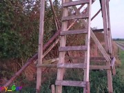 Outdoor special: Jerk off, vibrator and precum on a hunter stand (OnlyFans: Funnyboy_Ger)