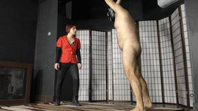 (HD) Pained balls