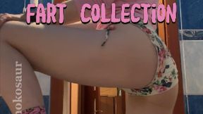 Big Fart Collection