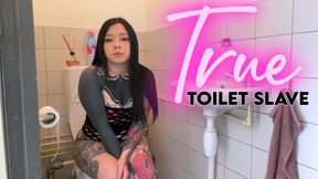 True Toilet Slave