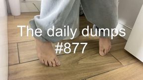 The daily dumps #877 mp4